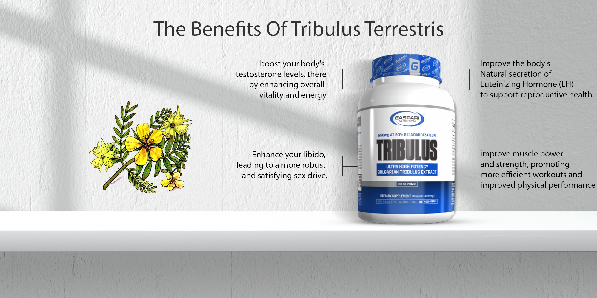 The Benefits Of Tribulus Terrestris