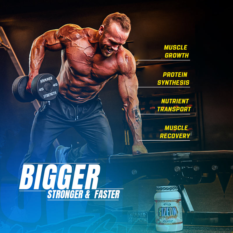 SizeOn - Intra-Workout