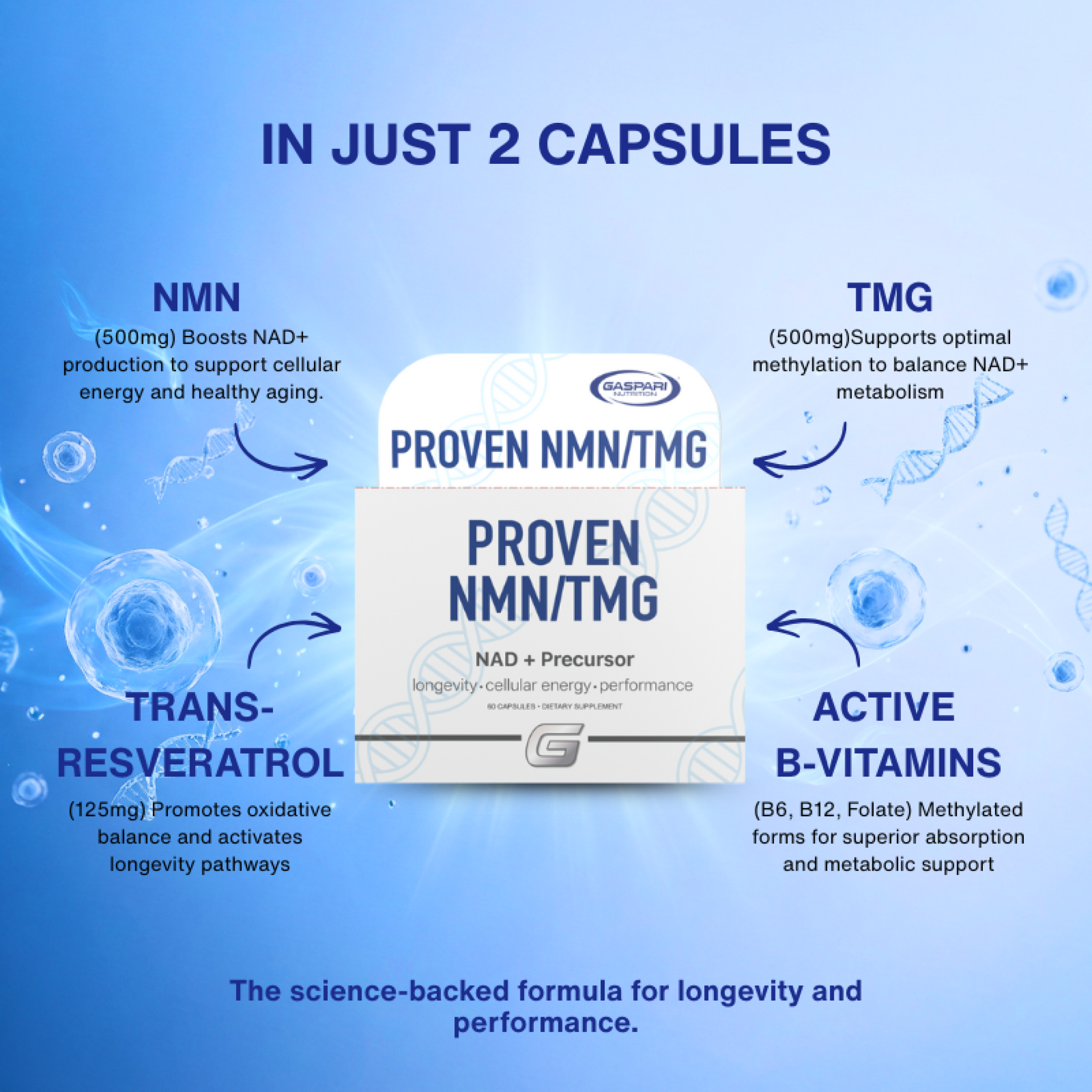 Proven NMN+TMG Supplement