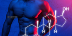 The Power of Testosterone Boosting Supplements: Unveiling the Key Ingredients and Benefits for Muscle Building and Anti-Aging