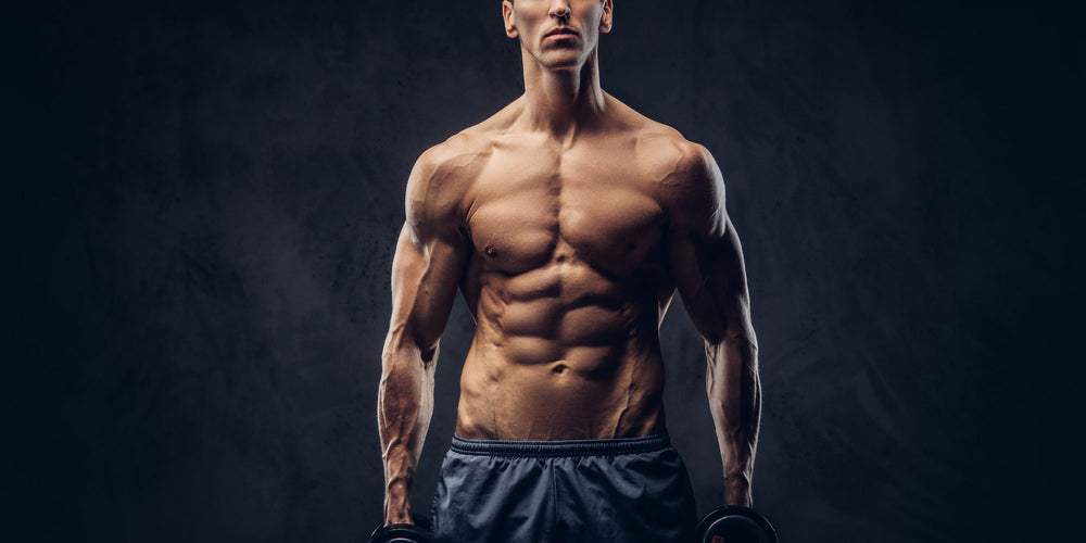 Ectomorph vs. A Hardgainer: Is There A Difference in Body Types?