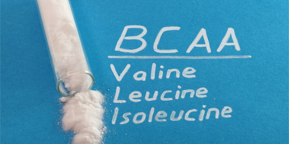 BCAAs: What They Are And How They Help Your Body