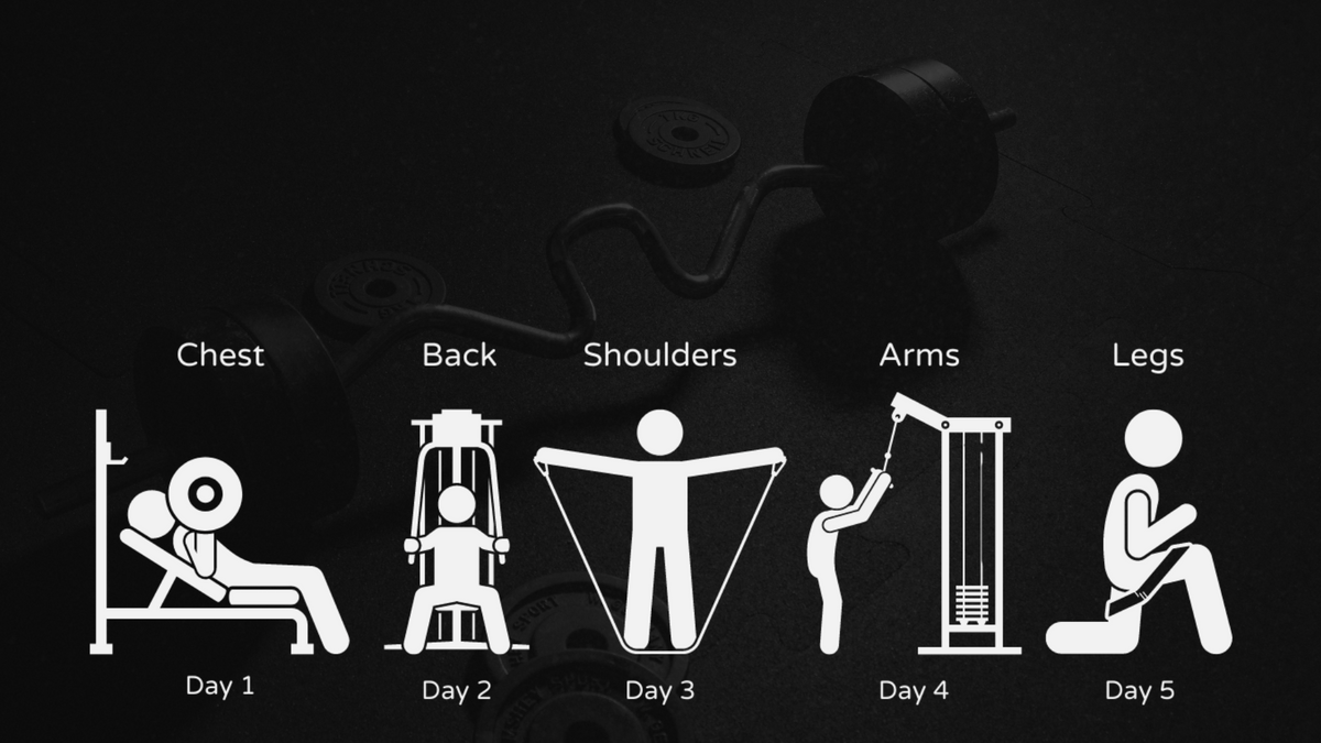 Bro Routine Workout What is a Bro Split Workout Routine? – Gaspari Nutrition USA