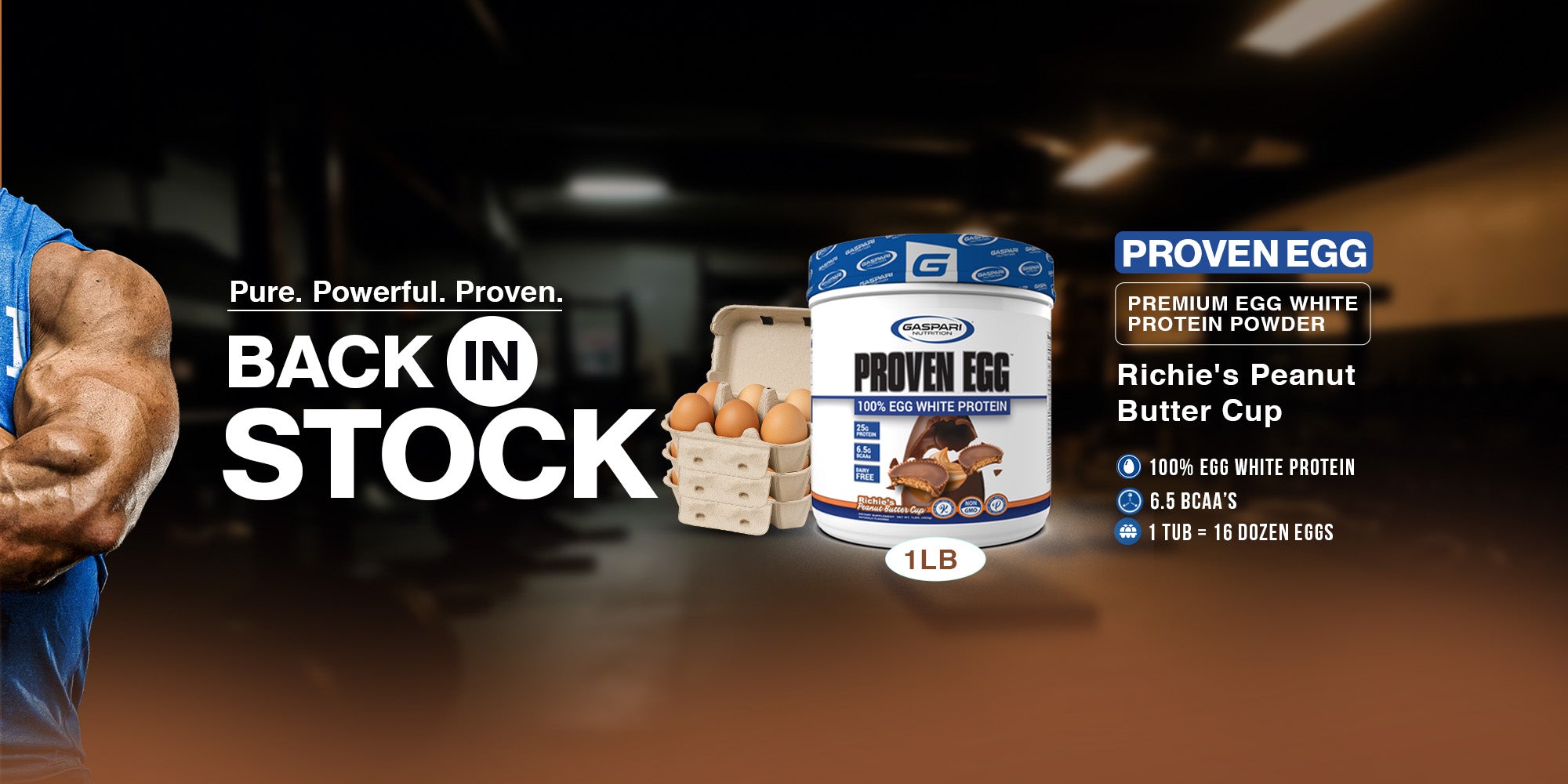 Back in Stock Proven Egg- Gaspari Nutrition