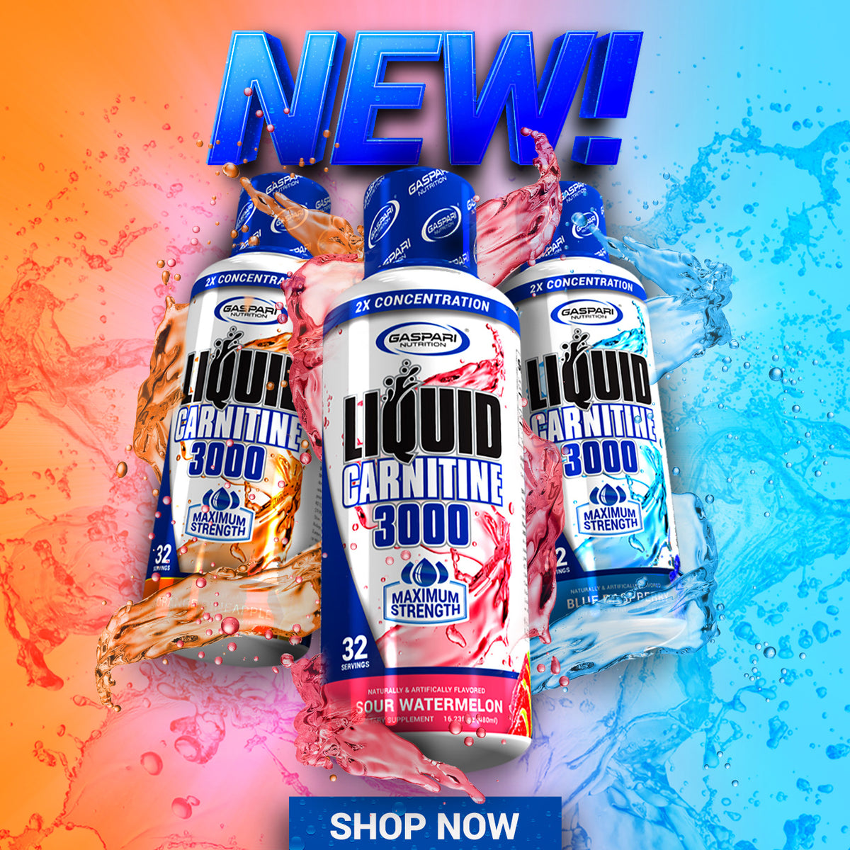  A Guide to Using Liquid Carnitine 3000