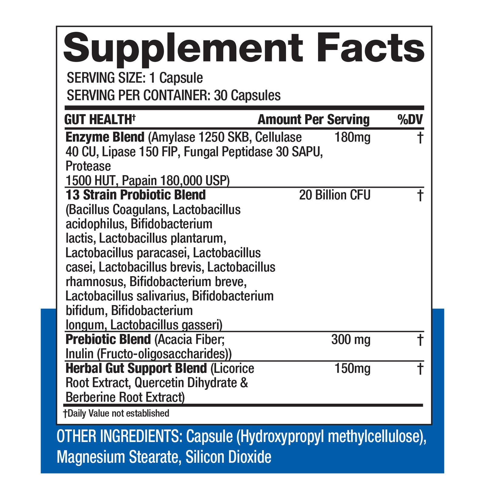 Proven Gut Health - Gaspari Nutrition - #tag1# - #tag2# - #tag3# - #tag4#