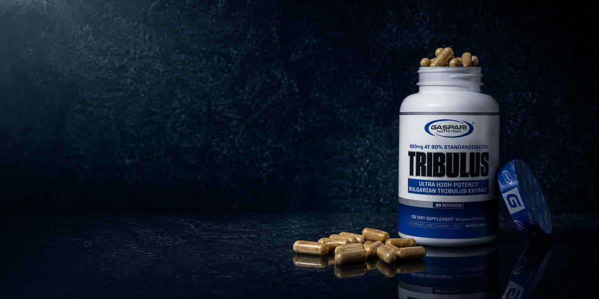 Gaspari Nutrition USA