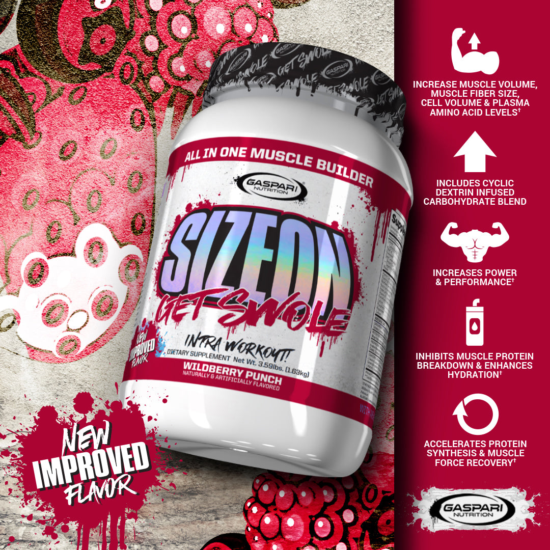 Gaspari Nutrition SizeOn, intra-workout, muscle building supplement, wildberry punch flavor